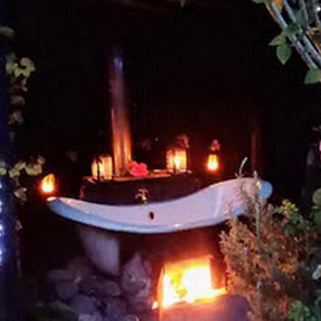 Warm Earth Cottages Aongatete Exteriér fotografie