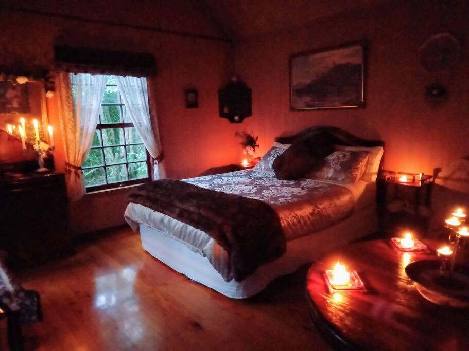 Warm Earth Cottages Aongatete Exteriér fotografie